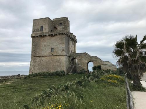 an old building on a hill with a palm tree at Li Caseddi ti lu Cesarinu in Avetrana