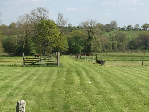 a fence in a field with horses in the distance at Le Domaine de Belleville in Dragey