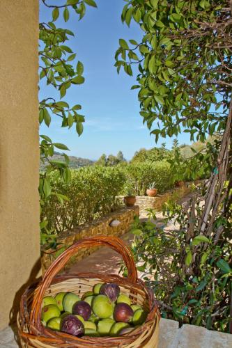 a basket full of fruit sitting on a table at Borgo Riccio in Torchiara