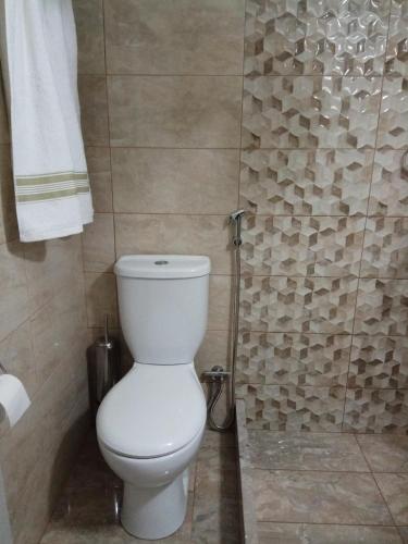 a bathroom with a toilet and a shower at Nikolitsi Studios in Symi