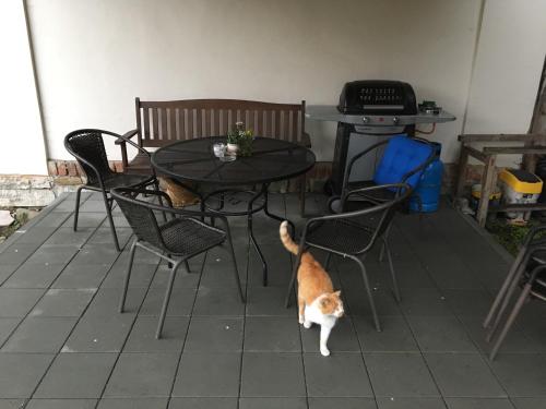 a cat standing next to a table and chairs at Ubytování v soukromí U Volného in Příbor