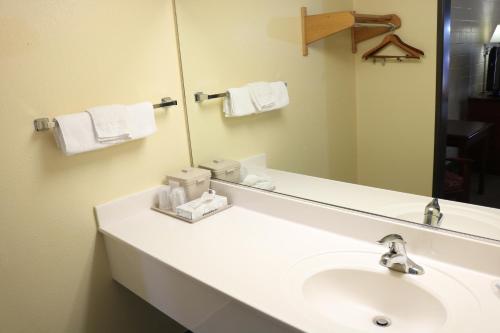 a bathroom with a sink and a mirror at Budget Inn Flagstaff in Flagstaff