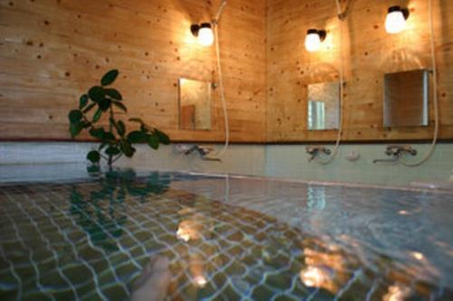 a swimming pool with a potted plant and mirrors at Pension Old String in Minakami