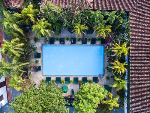 an overhead view of a swimming pool with palm trees at Hotel Mariscal Robledo in Santa Fe de Antioquia