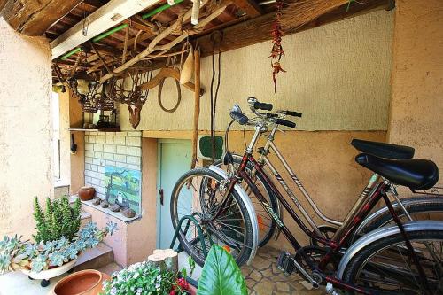 Apartment Pifar