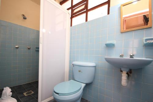 a blue bathroom with a toilet and a sink at Hotel San Martin in San Cristóbal de Las Casas