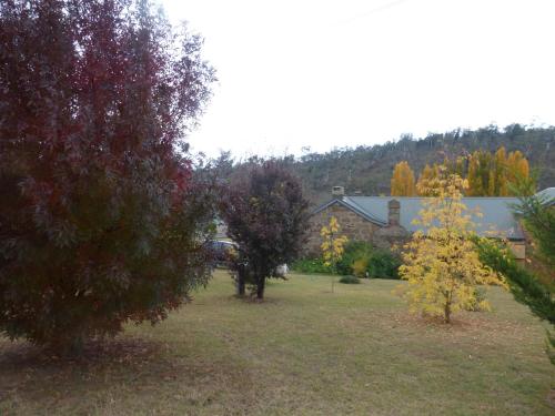 a yard with trees and a house in the background at Woodvale at Cooma in Cooma