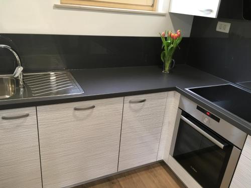 uma cozinha com armários brancos e um balcão preto em Apartment Lapanja em Slap ob Idrijci