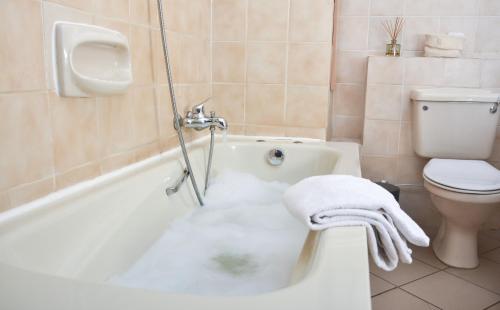 a bathroom with a white tub and a toilet at Nordic Villa in Abuja