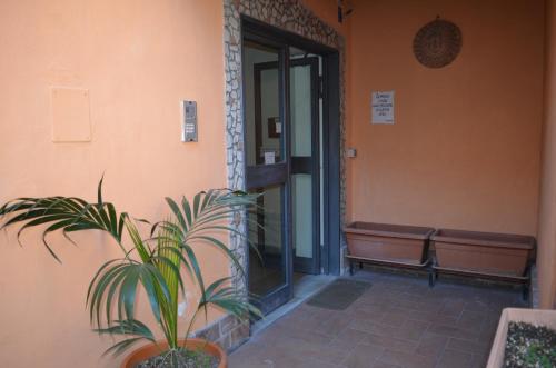 a plant in a pot next to a building at Campi Flegrei House in Naples