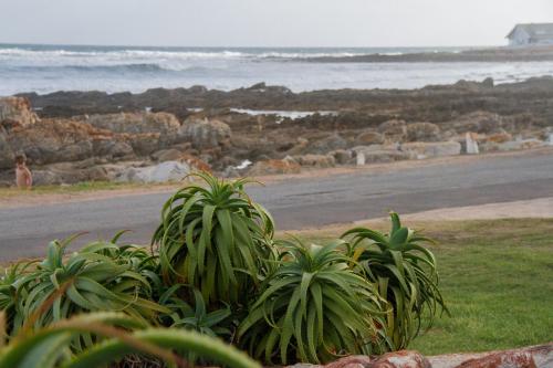 a view of a beach with a bunch of plants at Little Rock Guesthouse in Jongensfontein