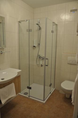 a bathroom with a shower with a sink and a toilet at Gasthof Landhotel Hubmann in Kleinlobming