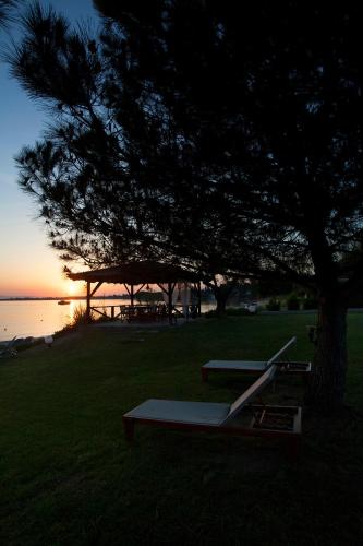 two picnic tables under a tree next to the water at 4Elies apartments in Vourvourou