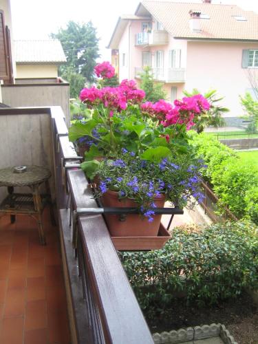 Ein Garten an der Unterkunft B&B Al Calicanto