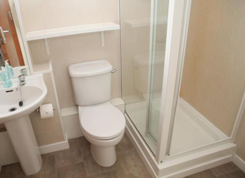 a white bathroom with a toilet and a shower at Castleyards Apartment 2 in Kirkwall