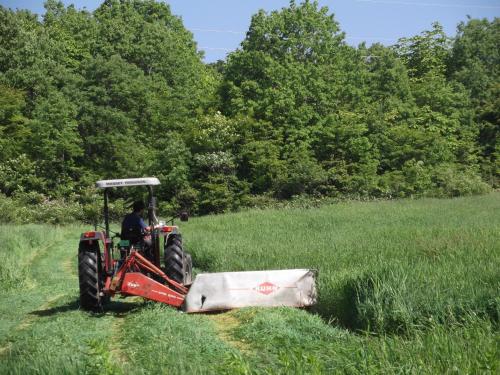 a person on a tractor in a field at Pension Green Lake in Gujo