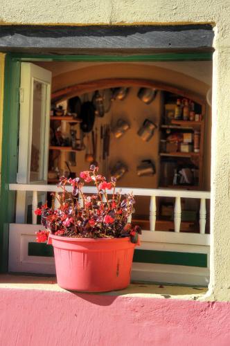a red potted plant sitting on a window sill at Finca La Tobita Eco Hotel in Toca