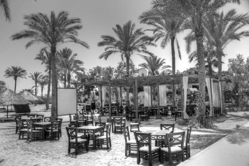 a group of tables and chairs on a beach with palm trees at Kefi Palmera Beach Resort El Sokhna - Family Only in Ain Sokhna