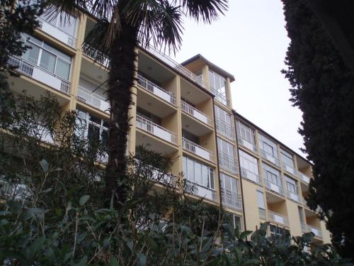 リーヴァ・デル・ガルダにあるAppartamento Brioneのヤシの木が目の前に広がるアパートメント