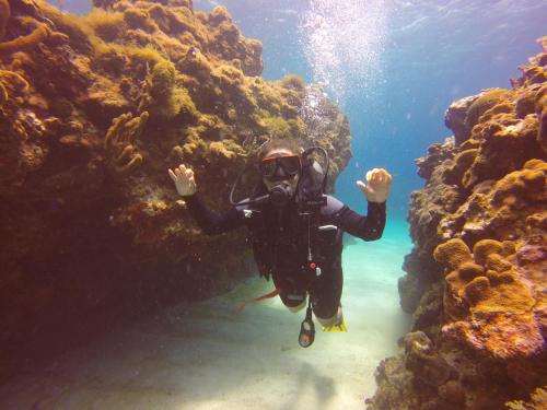 a person in a diving mask is underwater in the ocean at Rhipidura Bungalows by Phocéa in Pemuteran