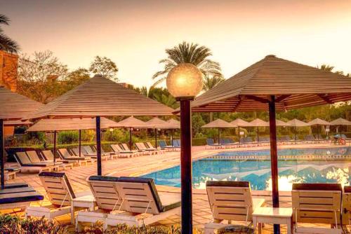 a group of chairs and umbrellas next to a pool at Kefi Palmera Beach Resort El Sokhna - Family Only in Ain Sokhna