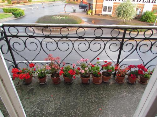 a bunch of flowers in pots on a balcony at Vitaby Järnvägshotell in Vitaby