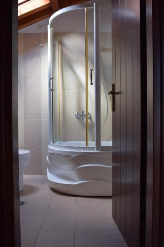 a bathroom with a shower and a toilet at Villa Belles in Akritochori