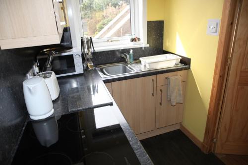 uma pequena cozinha com um lavatório e um micro-ondas em Castleyards Apartment 1 em Kirkwall
