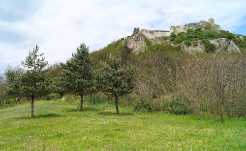 a castle on top of a hill with trees at VÁR-CAMPING in Sirok