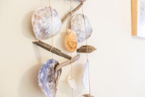 a driftwood branch wall art with seashells and shells at Quinta do Silvestre in Albufeira
