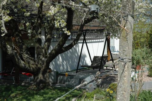 Zahrada ubytování Boutique-Hotel im Weingarten