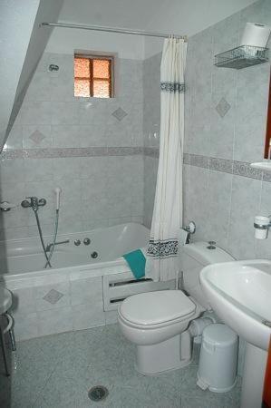 Bilik mandi di Hotel Apollon