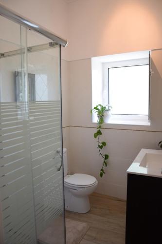 a bathroom with a toilet and a glass shower at Casa da Paleta in Castelo de Vide