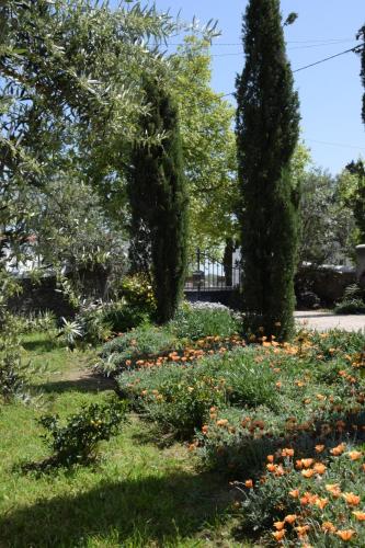 a garden with flowers and trees in a park at Casa da Paleta in Castelo de Vide