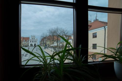 Φωτογραφία από το άλμπουμ του Rynek 16 σε Sandomierz