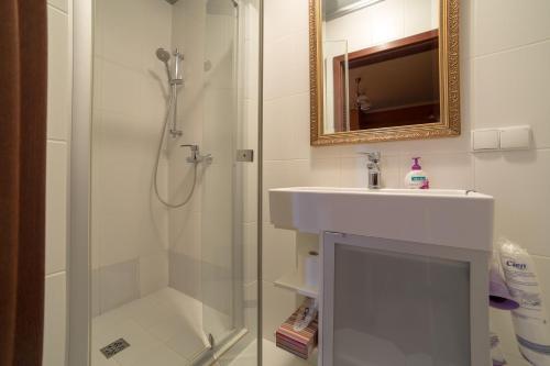 ein Bad mit einer Dusche, einem Waschbecken und einem Spiegel in der Unterkunft Rynek 16 in Sandomierz