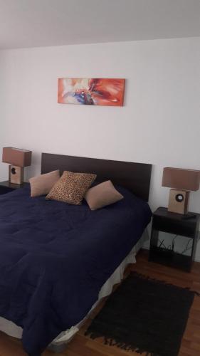 1 dormitorio con 1 cama azul y 2 almohadas en DV Apartments, en Santiago