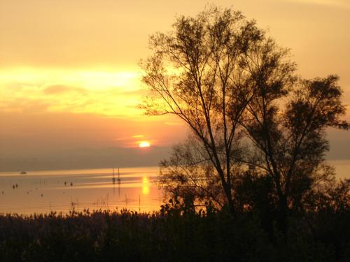 a sunset over a body of water with a tree at Hotel La Rondine in Sirmione