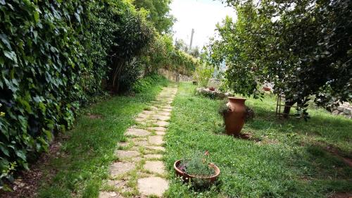 a garden path with a vase in the grass at B&B La Vecchia Scuola in Sonnino