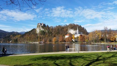 아파트먼트 패트리샤