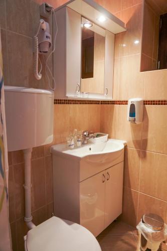 a bathroom with a toilet and a sink and a mirror at Amfora in Palić