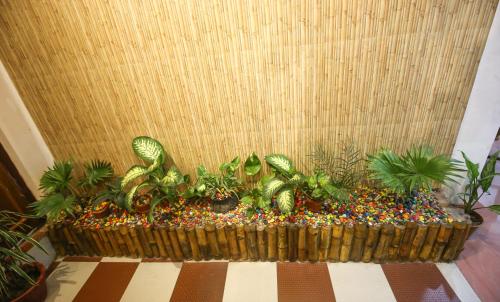 a planter filled with plants in a room at Hotel Cecil in Kolkata