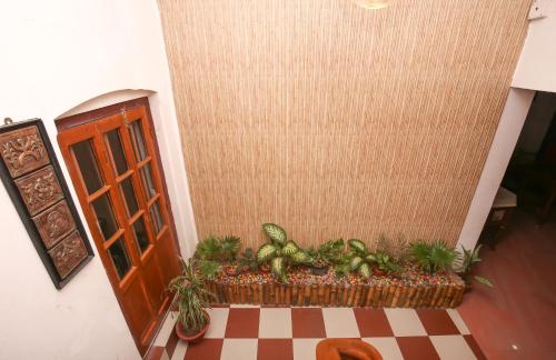 an entrance to a room with plants and an open door at Hotel Cecil in Kolkata