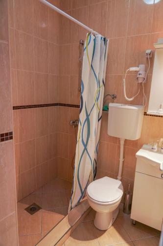 a bathroom with a toilet and a shower at Amfora in Palić