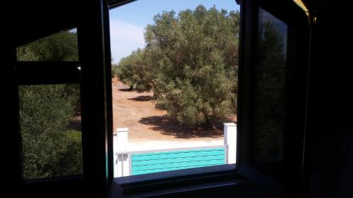 a window with a view of a pool and trees at Le Radici Casa Vacanze in Copertino
