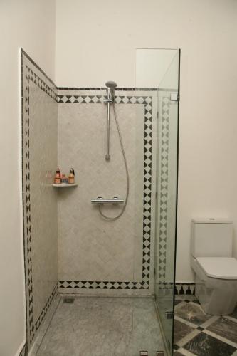 a shower in a bathroom with a toilet at Riad Batchisarai in Fès