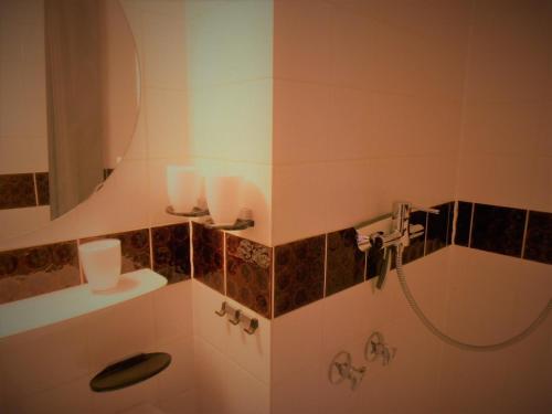 uma casa de banho com um chuveiro, um lavatório e um espelho. em Haus Vier Jahreszeiten am See HS 581 em Goslar