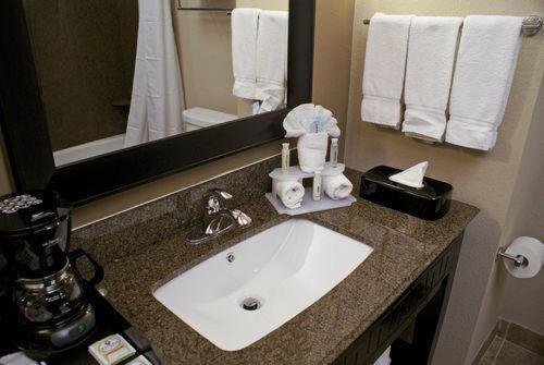 a bathroom counter with a sink in a hotel room at Holiday Inn Express Hotel & Suites Houston NW Beltway 8-West Road, an IHG Hotel in Houston