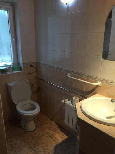 a bathroom with a toilet and a sink at Chata Oravská Priehrada in Námestovo