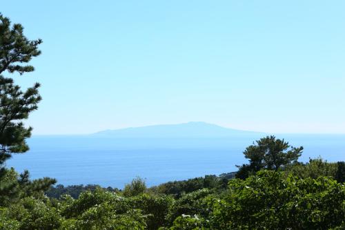 a view of the ocean through the trees at Southern Cross Resort in Ito